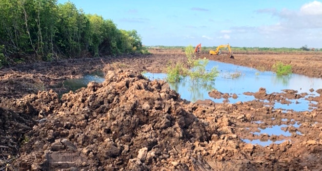 Hủy hoại rừng.